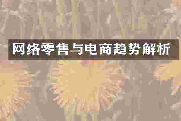 网络零售与电商趋势解析