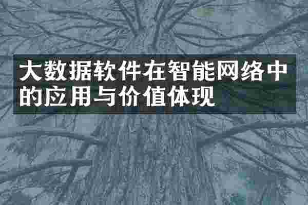大数据软件在智能网络中的应用与价值体现