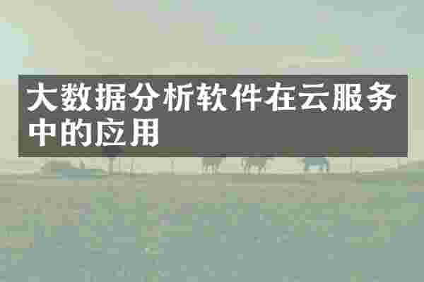 大数据分析软件在云服务中的应用
