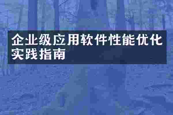 企业级应用软件性能优化实践指南