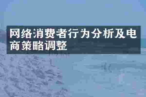 网络消费者行为分析及电商策略调整