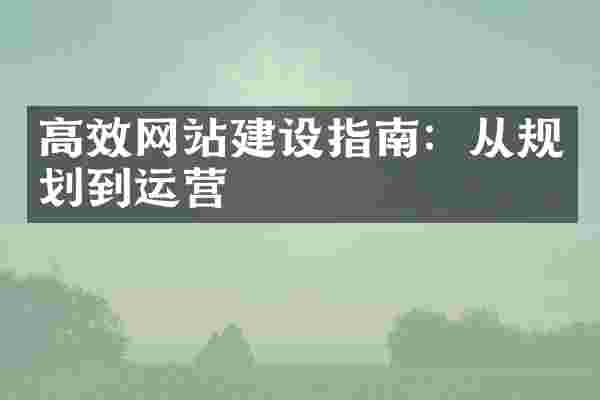 高效网站建设指南：从规划到运营