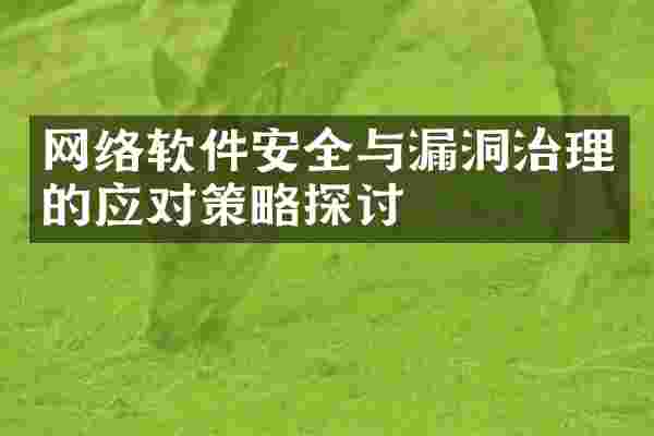 网络软件安全与漏洞治理的应对策略探讨