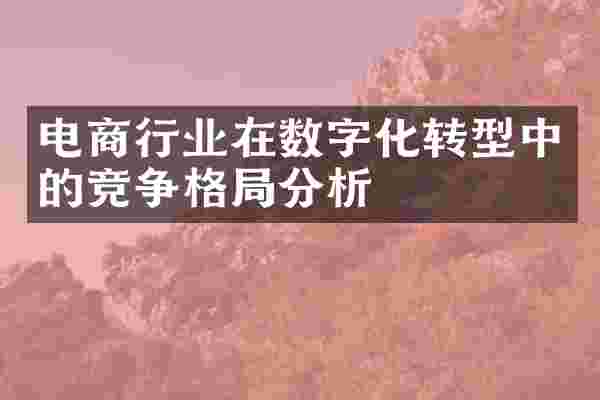 电商行业在数字化转型中的竞争格局分析