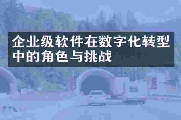企业级软件在数字化转型中的角色与挑战