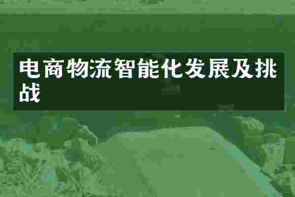 电商物流智能化发展及挑战
