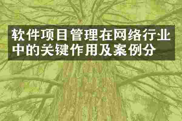 软件项目管理在网络行业中的关键作用及案例分析
