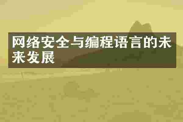 网络安全与编程语言的未来发展