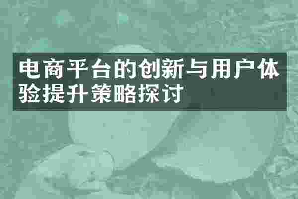 电商平台的创新与用户体验提升策略探讨