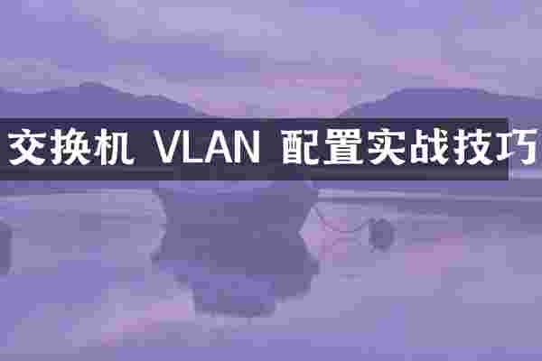 交换机 VLAN 配置实战技巧
