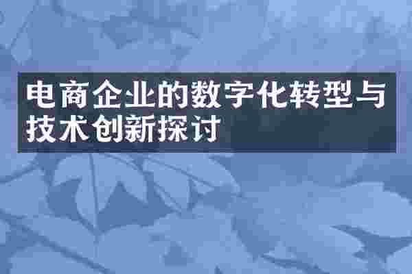 电商企业的数字化转型与技术创新探讨