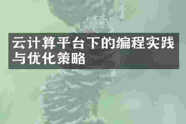 云计算平台下的编程实践与优化策略