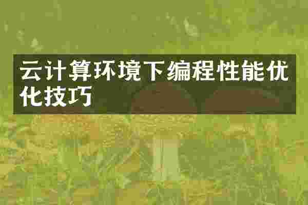 云计算环境下编程性能优化技巧