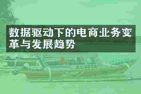 数据驱动下的电商业务变革与发展趋势