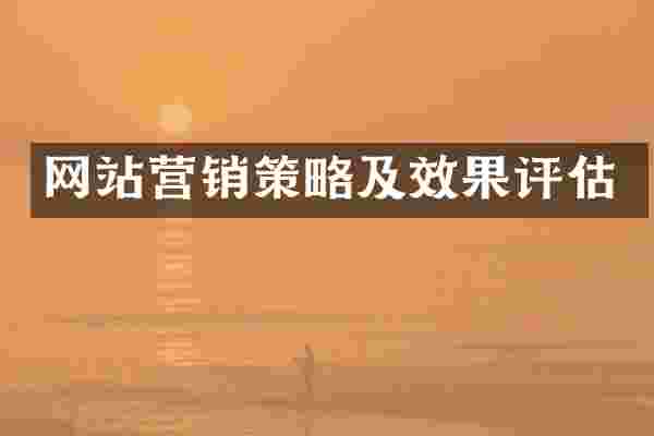 网站营销策略及效果评估