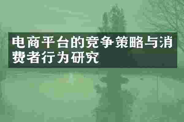 电商平台的竞争策略与消费者行为研究