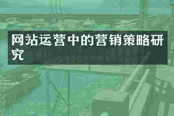 网站运营中的营销策略研究