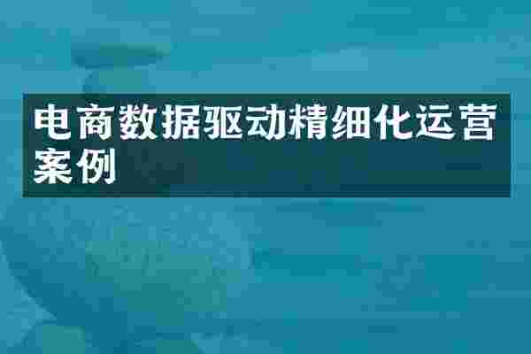 电商数据驱动精细化运营案例