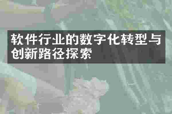 软件行业的数字化转型与创新路径探索
