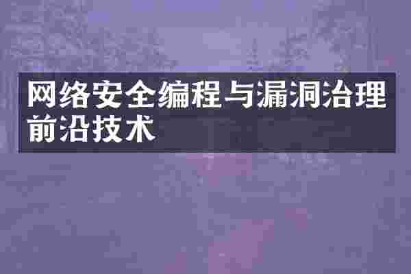 网络安全编程与漏洞治理前沿技术