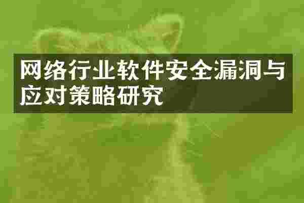 网络行业软件安全漏洞与应对策略研究