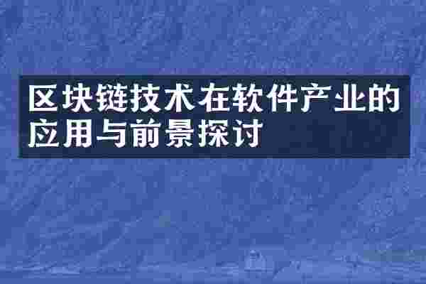 区块链技术在软件产业的应用与前景探讨