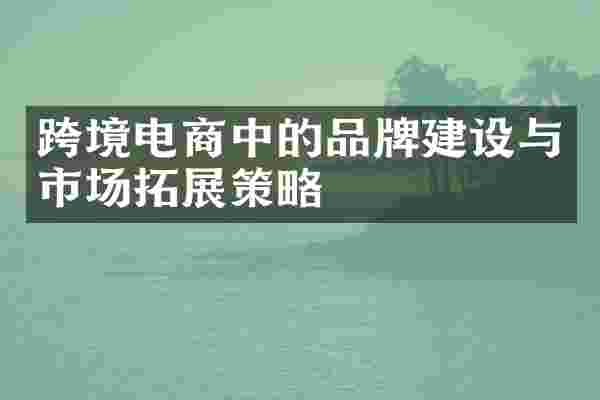 跨境电商中的品牌建设与市场拓展策略