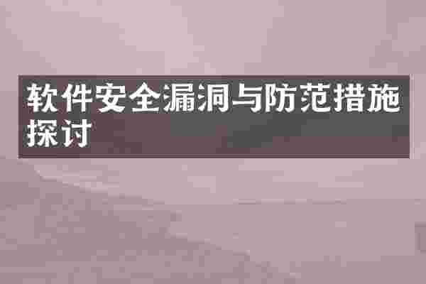 软件安全漏洞与防范措施探讨