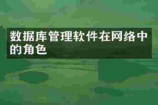 数据库管理软件在网络中的角色