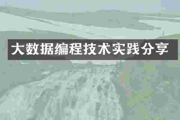 大数据编程技术实践分享