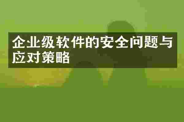 企业级软件的安全问题与应对策略