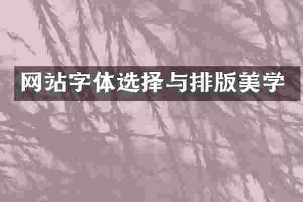 网站字体选择与排版美学