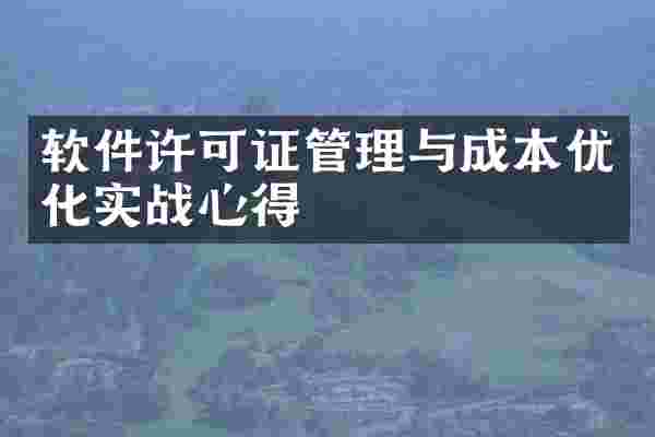 软件许可证管理与成本优化实战心得
