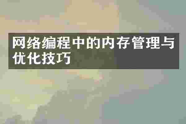 网络编程中的内存管理与优化技巧