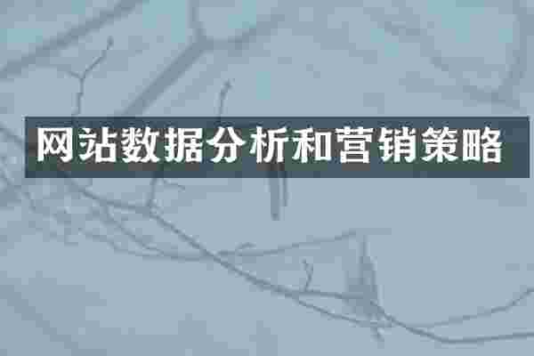 网站数据分析和营销策略