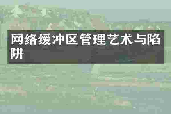 网络缓冲区管理艺术与陷阱