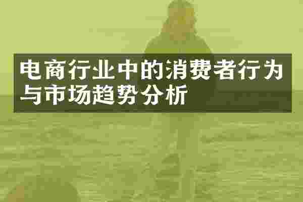 电商行业中的消费者行为与市场趋势分析