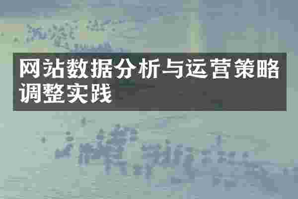 网站数据分析与运营策略调整实践