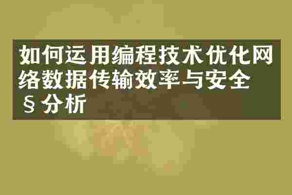 如何运用编程技术优化网络数据传输效率与安全性分析