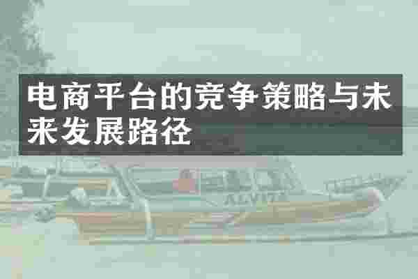 电商平台的竞争策略与未来发展路径