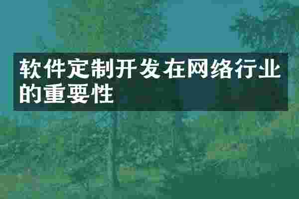 软件定制开发在网络行业的重要性