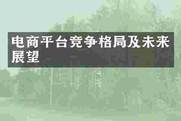 电商平台竞争格局及未来展望
