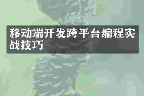 移动端开发跨平台编程实战技巧