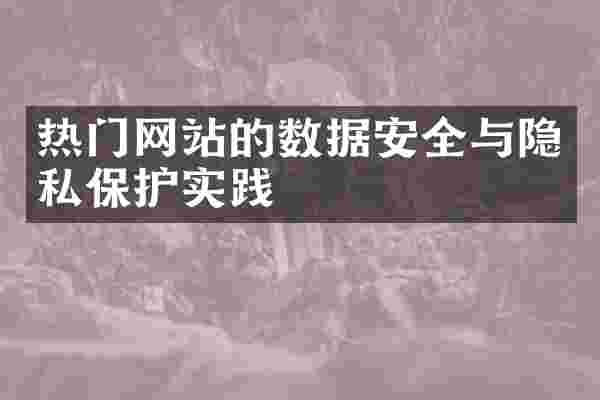 热门网站的数据安全与隐私保护实践