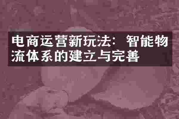 电商运营新玩法：智能物流体系的建立与完善