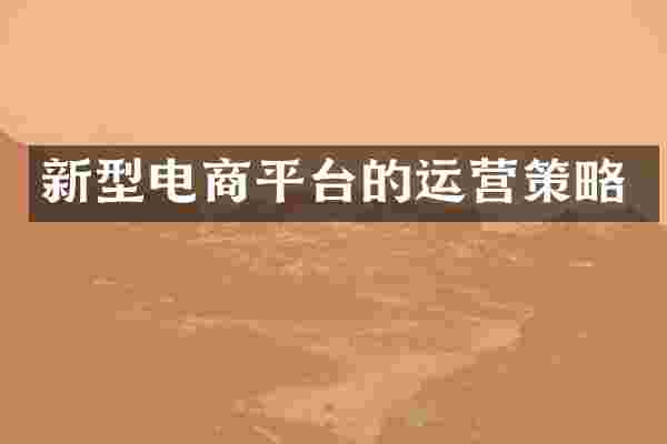 新型电商平台的运营策略