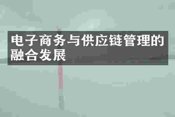 电子商务与供应链管理的融合发展